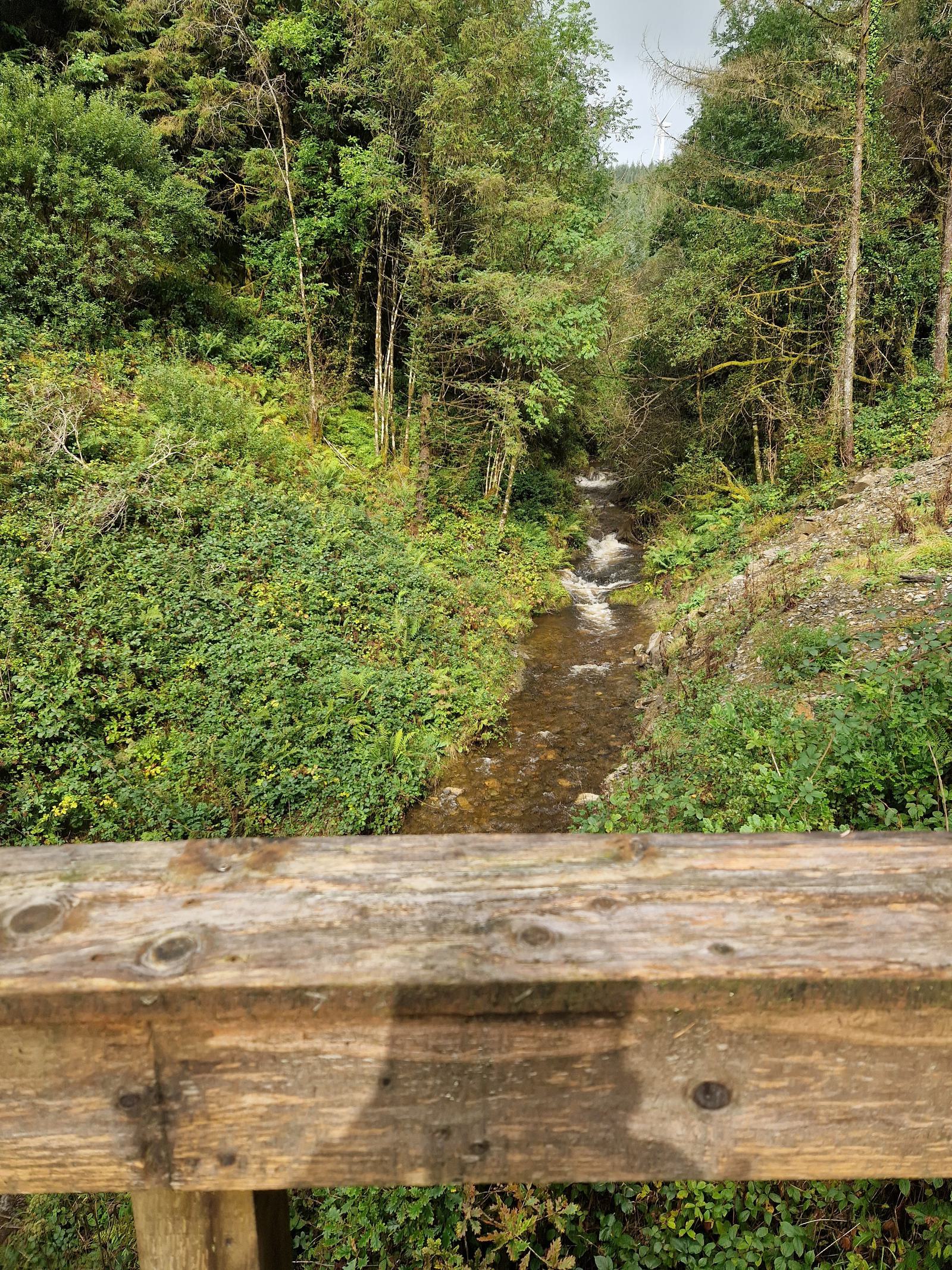 A narrow, clear stream flows through dense, green foliage in a forested area. In the foreground, the top of a weathered wooden fence is visible, casting a shadow. The scene is serene and natural, with lush vegetation on both sides of the stream.
