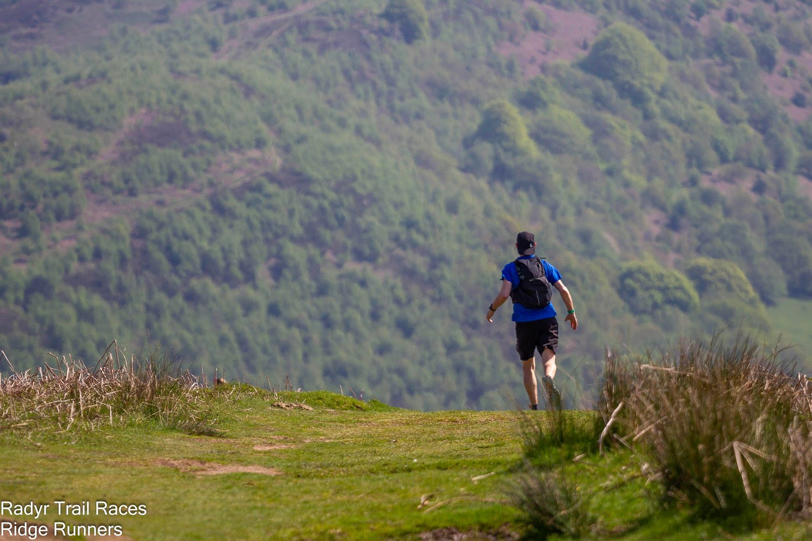 A person in athletic gear runs along a grassy trail surrounded by hills covered in lush greenery. The scene is bright and serene. Text in the bottom left corner reads "Radyr Trail Races Ridge Runners.