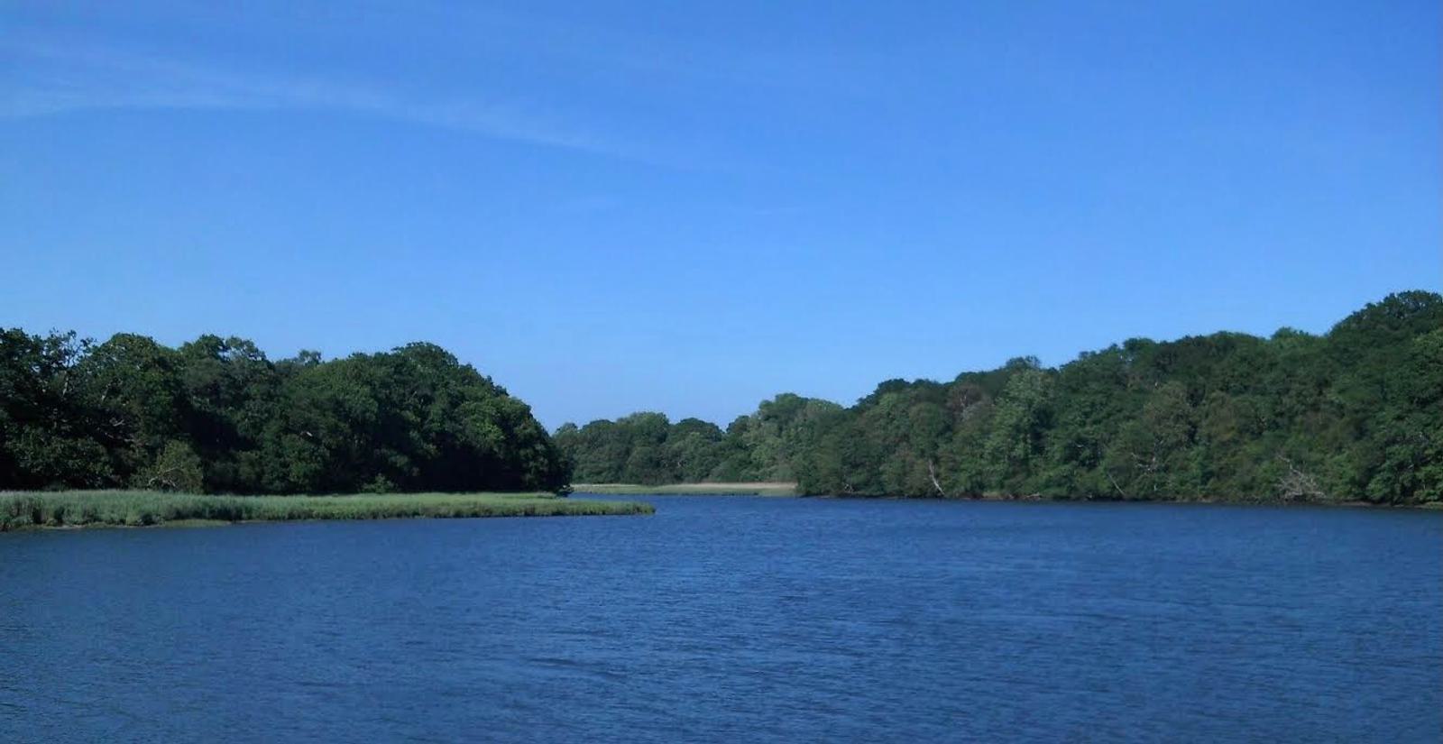 A serene lake with clear blue waters is surrounded by lush green trees under a bright blue sky. The shoreline is lined with dense foliage, and the calm water reflects the vibrant colors of the landscape.