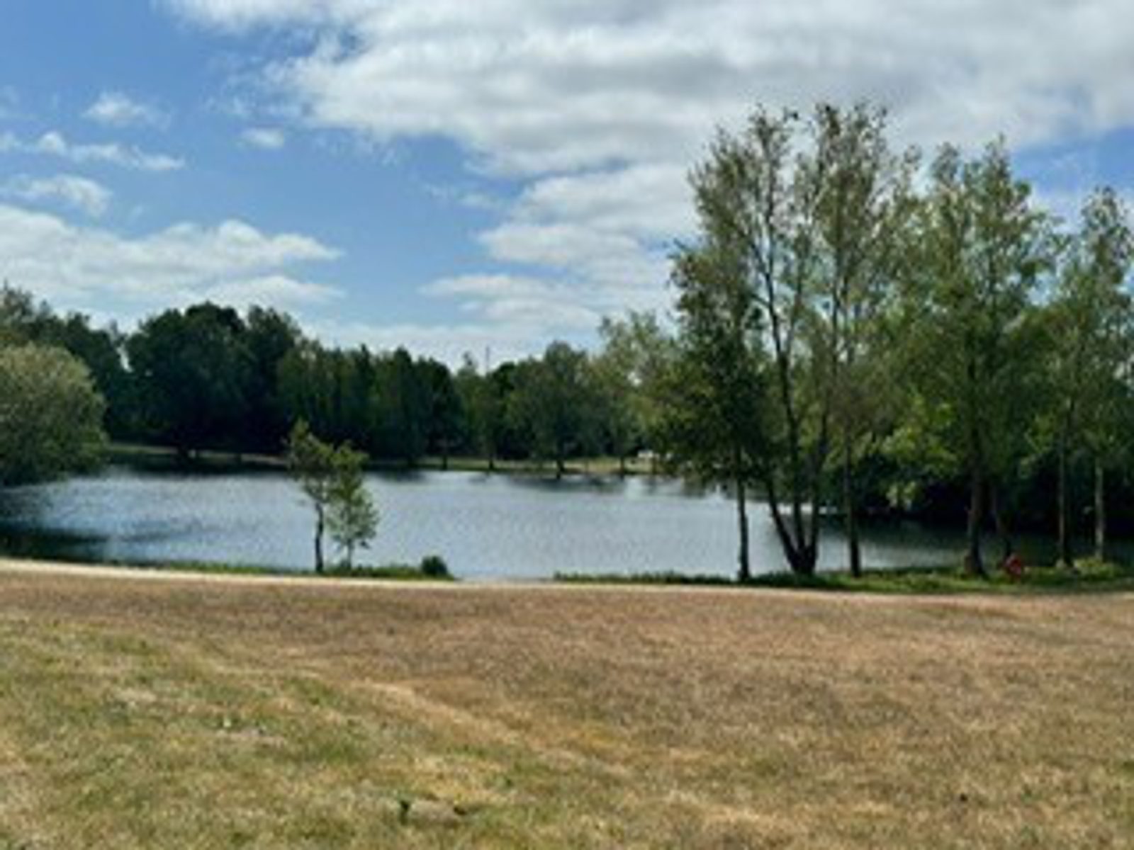 A serene pond bordered by trees under a partly cloudy sky, with a grassy, slightly brown foreground suggesting late summer or early autumn.