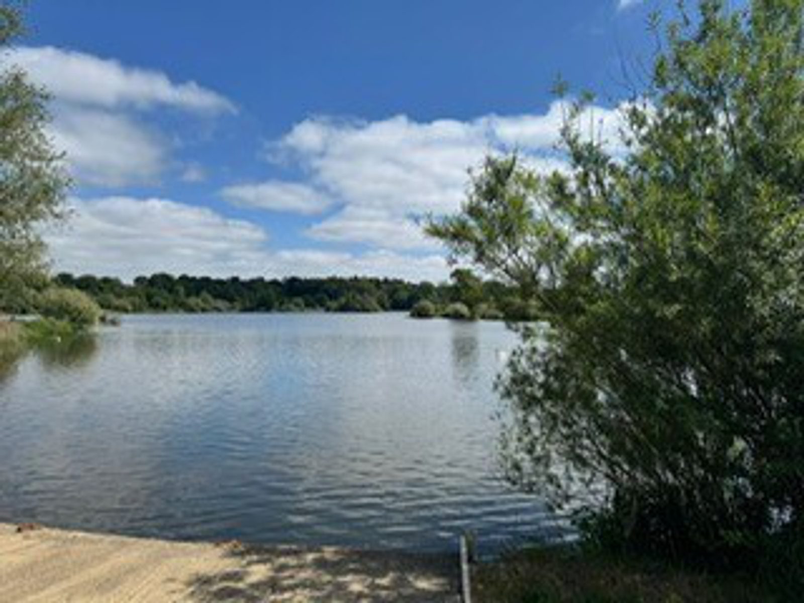A calm lake with trees and bushes along the shore under a blue sky with scattered clouds, viewed from a sandy bank in the foreground.