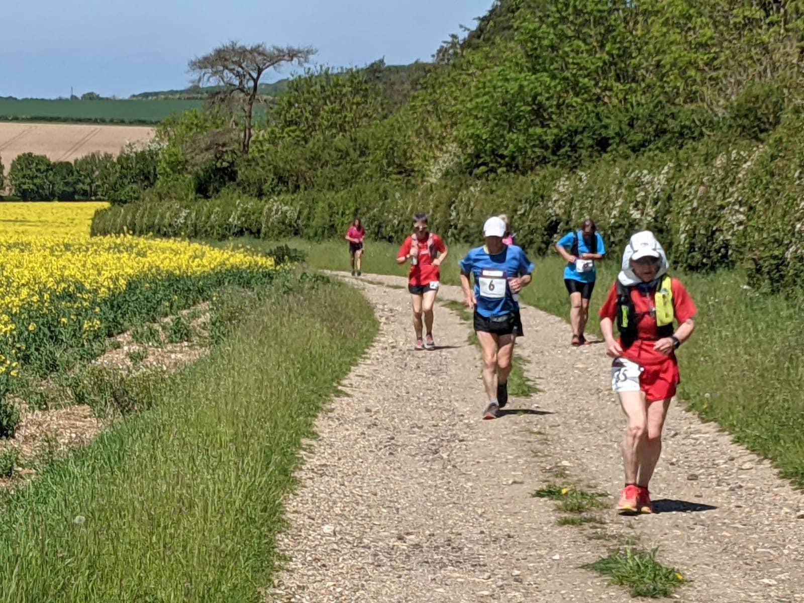 A group of runners wearing race numbers jogs along a gravel path through a scenic countryside. The path is flanked by green grass and yellow flowering fields. The runners appear focused as they move forward. Trees and bushes add greenery to the background.