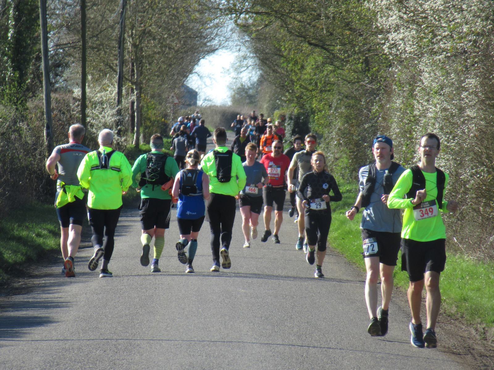 A group of runners in bright athletic gear are participating in a road race on a sunny day. They are spread out along a tree-lined path. Some are running, while others are walking or jogging, and race numbers are visible on their clothes.