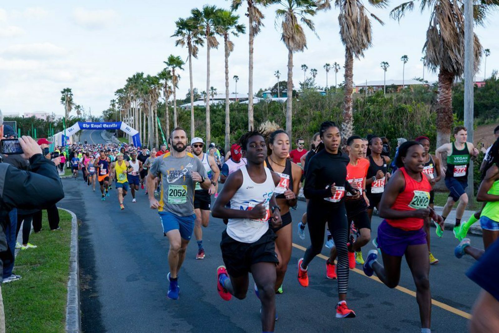 A diverse group of runners, both men and women, are participating in a road race. The runners are wearing colorful athletic attire and numbers pinned to their shirts. The race is taking place on a palm tree-lined street with spectators and a banner visible in the background.