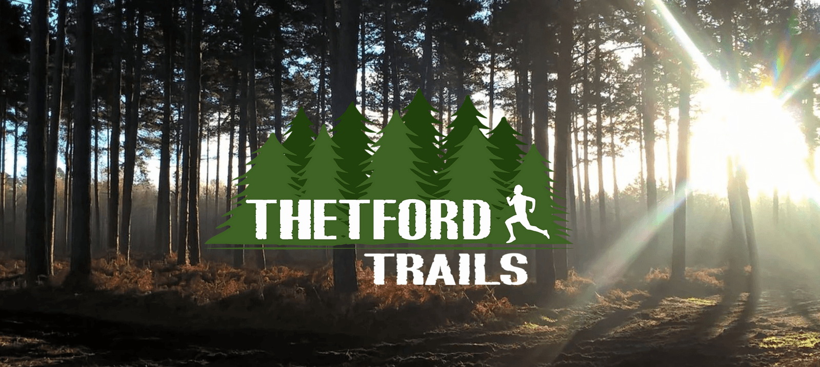 A dense forest scene with tall, straight trees casting long shadows in the early morning or late afternoon sunlight. The logo "THETFORD TRAILS" is overlaid, featuring green pine trees and a silhouette of a person running. Sun rays pierce through the trees.