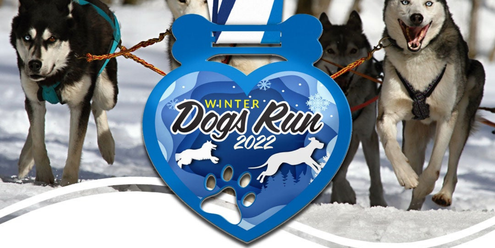 Close-up of a blue heart-shaped medal with "Winter Dogs Run 2022" text, paw prints, and dog sledding imagery. Background features a team of sled dogs running in the snow.