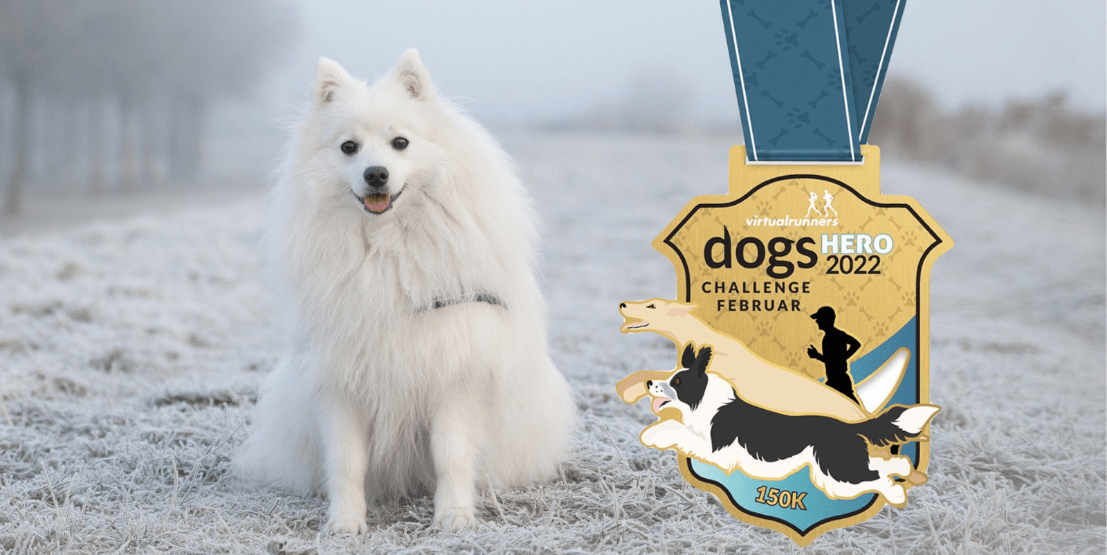 A fluffy white dog sits outdoors on a frosty path. Next to the dog is a medal that reads "dogs HERO Challenge Februar 2022" with images of running dogs and a silhouette of a person. The medal is blue and gold with a ribbon indicating a distance of 150K.