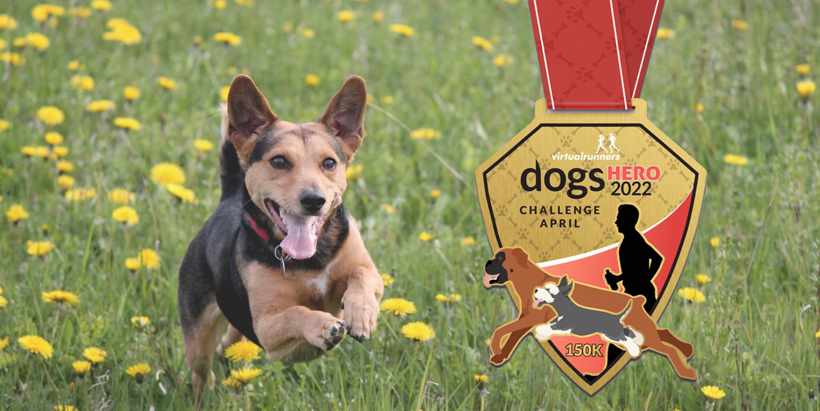 A joyful dog runs through a field of yellow flowers. Nearby, a medal for "Dogs Hero 2022 Challenge April" features an image of a dog and a human silhouette. The medal has a red ribbon and indicates a distance of 150 kilometers.