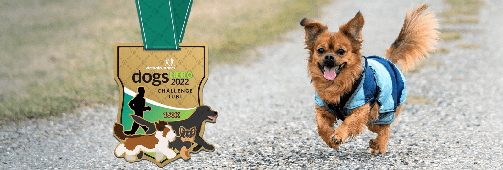 A small brown dog wearing a blue vest joyfully runs on a gravel path. In the foreground, there is a large medal labeled "Virtualrunners dogs HERO 2022 CHALLENGE JUNE 1". The medal depicts various dog illustrations and a person running with a dog.