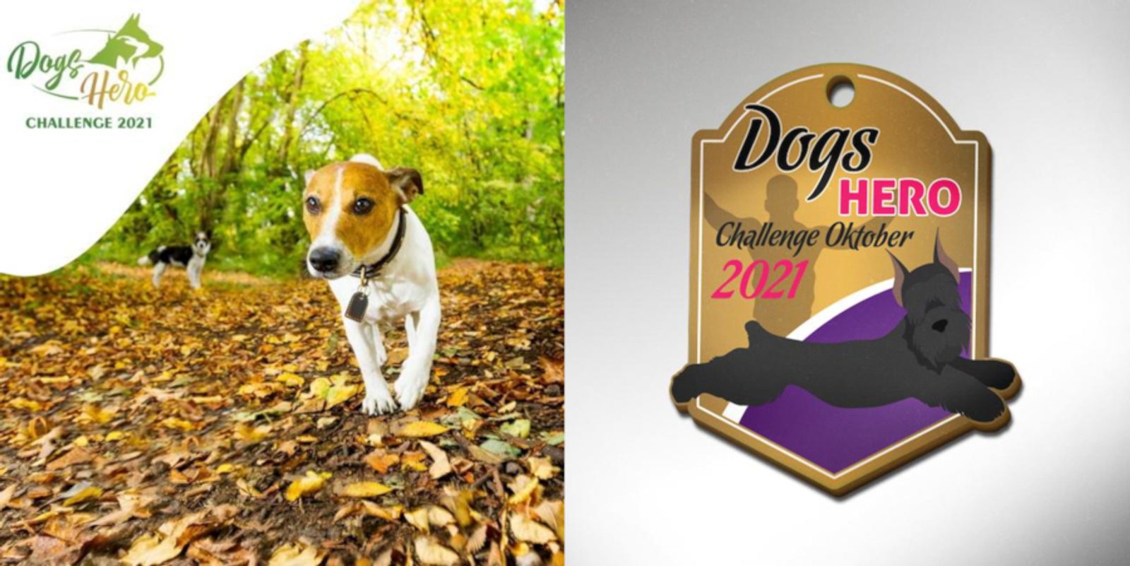 A dog walks on a leaf-covered path in a forest under a bright sky on the left side of the image. On the right side, there's an illustration of a medal with "Dogs Hero Challenge Oktober 2021" written on it, featuring a dog silhouette leaping.