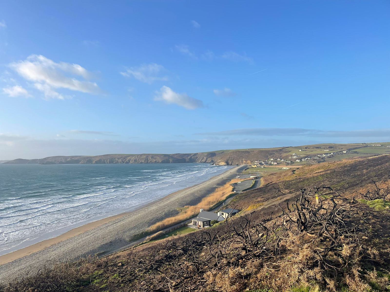 A scenic view of a coastal landscape featuring a sandy beach lined with gentle waves under a clear blue sky. Rolling hills and scattered buildings are visible in the background, along with dry grass and shrubs in the foreground.