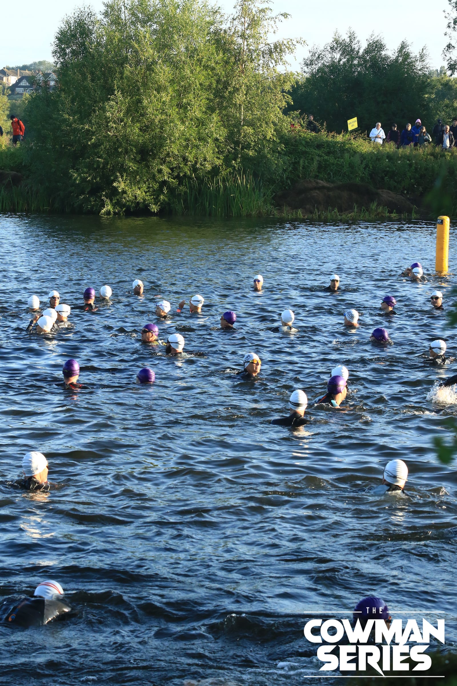 A group of swimmers wearing wetsuits and swim caps participate in an open water race, with trees and spectators on the bank. "The Cowman Series" logo appears in the lower right corner.