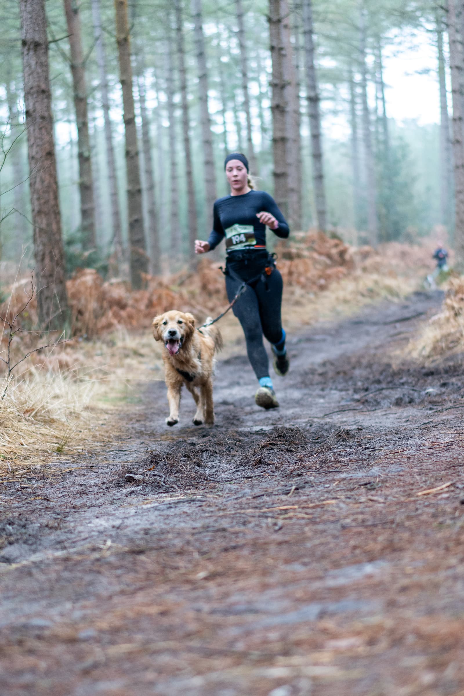 A person in athletic gear is running on a forest trail, holding a leash attached to a golden retriever. The background features tall trees and dry vegetation. Both the runner and the dog appear focused and energetic.