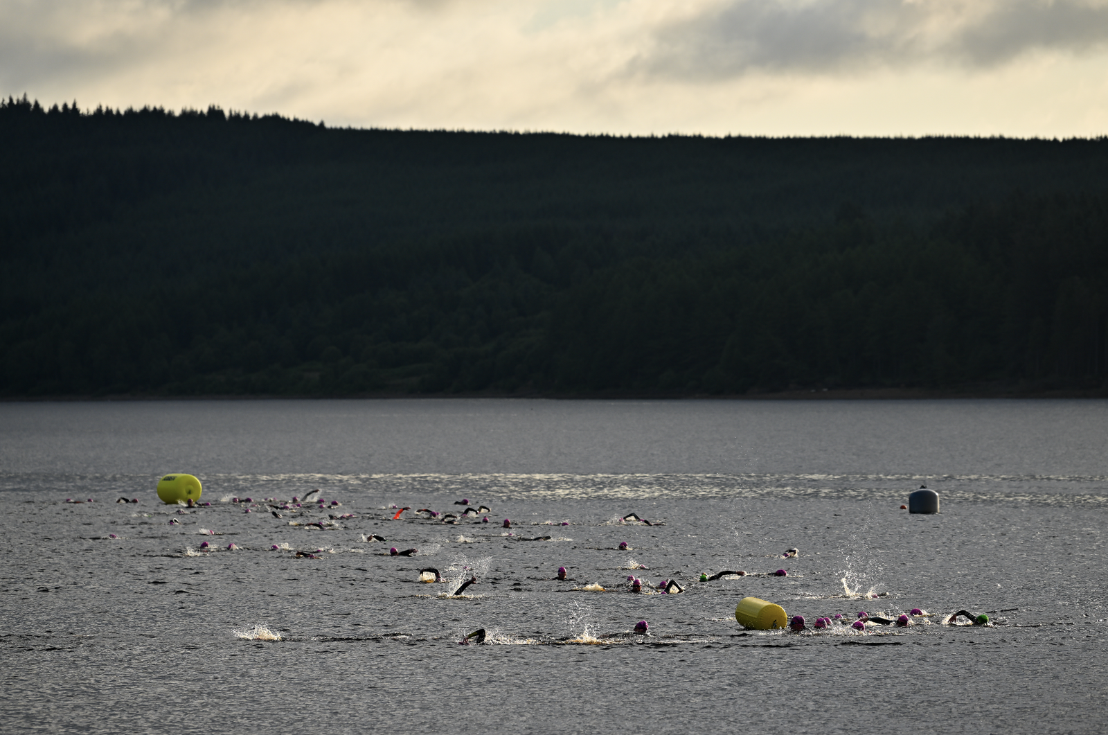 A group of swimmers in open water, wearing swim caps and wetsuits, competes in a race. Yellow buoys mark the route, and a forested shoreline is visible in the background under a cloudy sky.