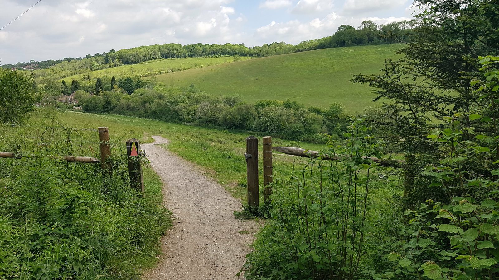 Brenda Parker Way Ultra event image