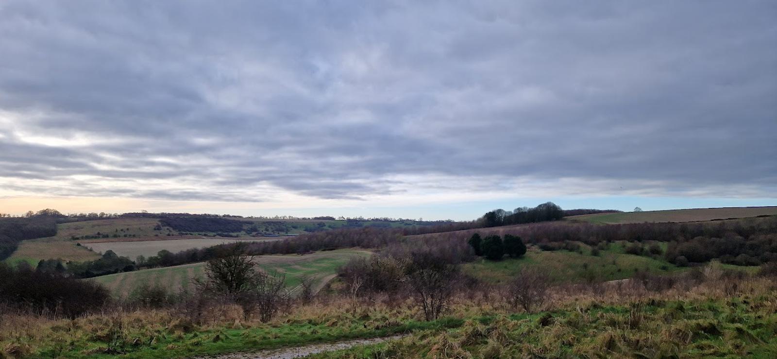 A landscape of rolling hills under a cloudy sky. The scene features patches of trees and grassy fields, with a winding path in the foreground. The horizon shows a blend of hills and distant treetops.