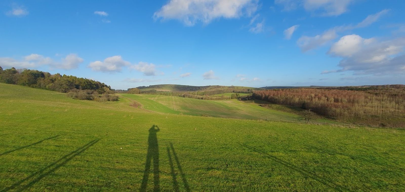 A scenic landscape of rolling green fields under a bright blue sky with scattered clouds. The shadow of a person taking a photo is visible in the foreground, stretching across the grass. Distant hills and a mix of deciduous and evergreen trees line the horizon.