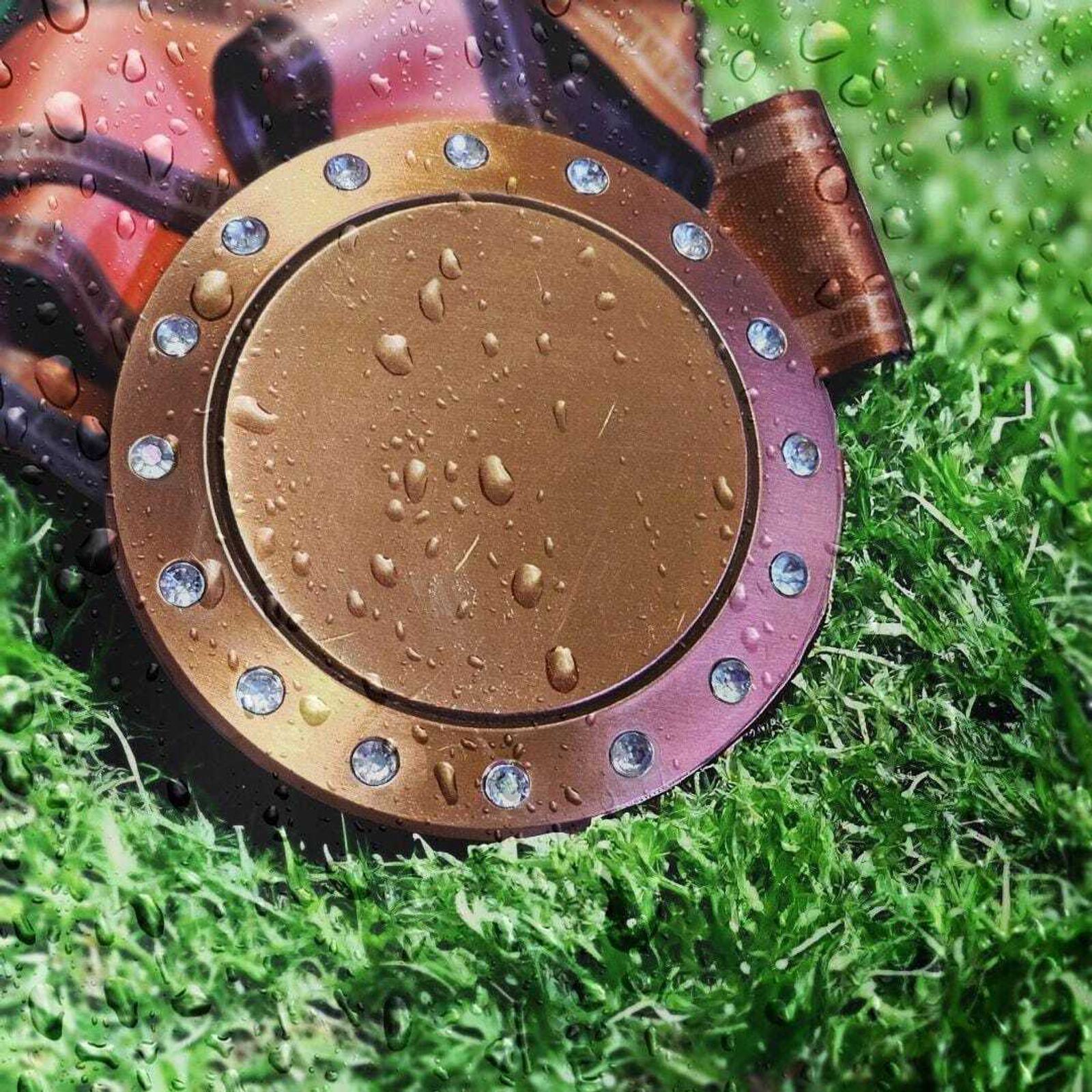 A round, metallic object with gemstones on its rim lies on wet grass. Raindrops are visible on its surface, giving a fresh, glossy appearance. The background is blurred, suggesting outdoor scenery.