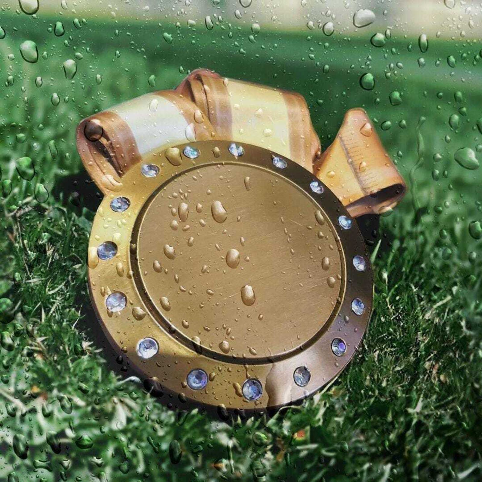 A golden metallic shield with embedded gemstones and a ribbon is placed on green grass. The image features water droplets on the surface, creating a fresh, rain-soaked effect.