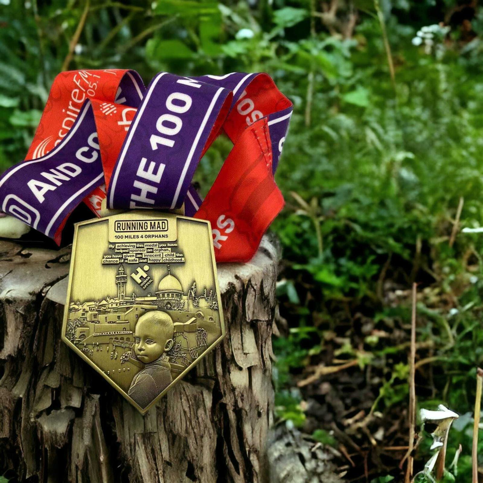 A medal on a tree stump in a garden setting. The medal features a design with a young child and various buildings, and is attached to a red and purple ribbon with sponsors' names.