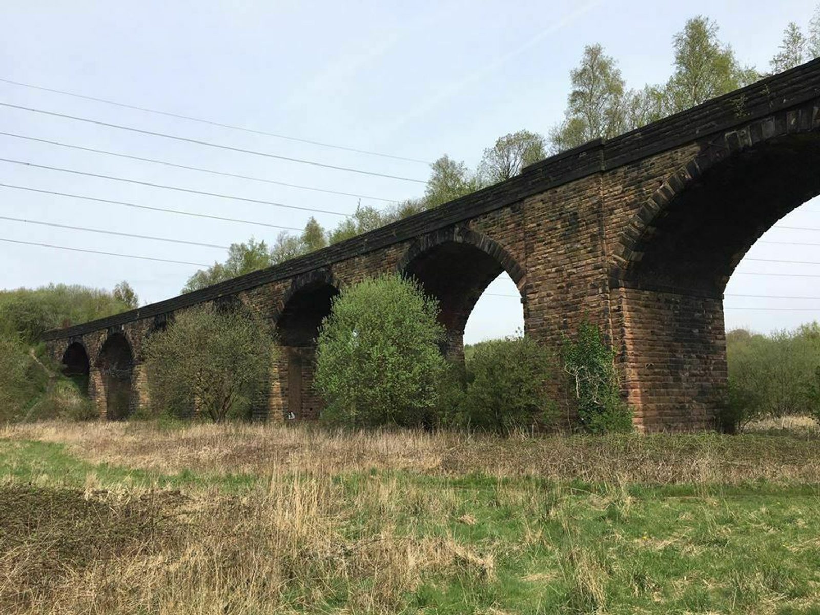 A long, arched stone railway viaduct spans a grassy field. The structure is framed by trees and shrubs, with power lines running parallel above. The scene is peaceful and natural, with the viaduct providing a contrast to the surrounding greenery.