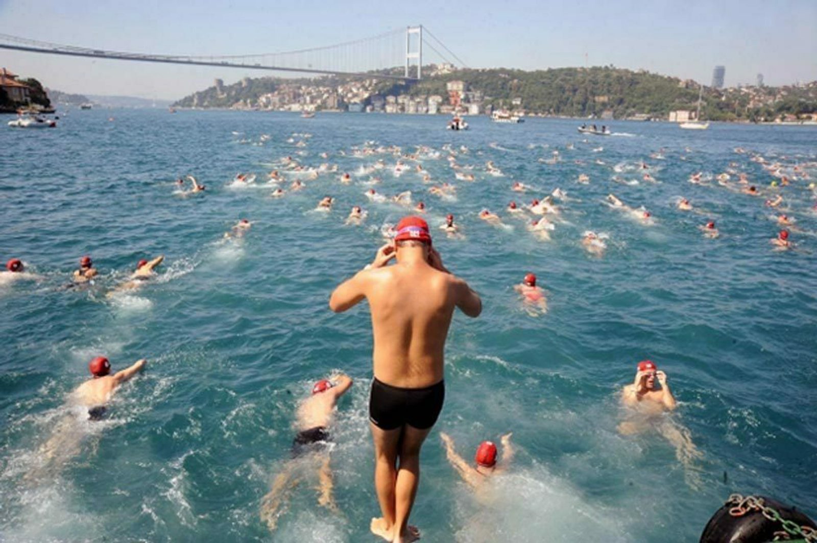 A large group of swimmers wearing red swim caps are participating in a race in a wide body of water, swimming towards a distant shore. A bridge and hilly landscape are visible in the background. One swimmer stands on a platform, preparing to dive in.