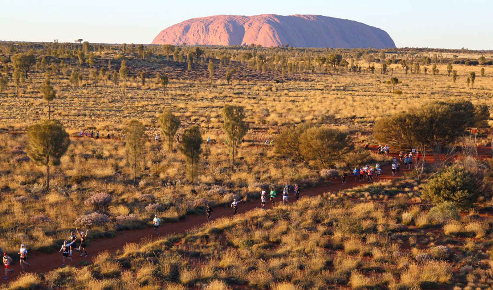 A group of runners participates in a marathon on a dirt path in the Australian outback. Sparse vegetation and trees surround them. In the background, the iconic Uluru rock formation rises prominently against the sky.