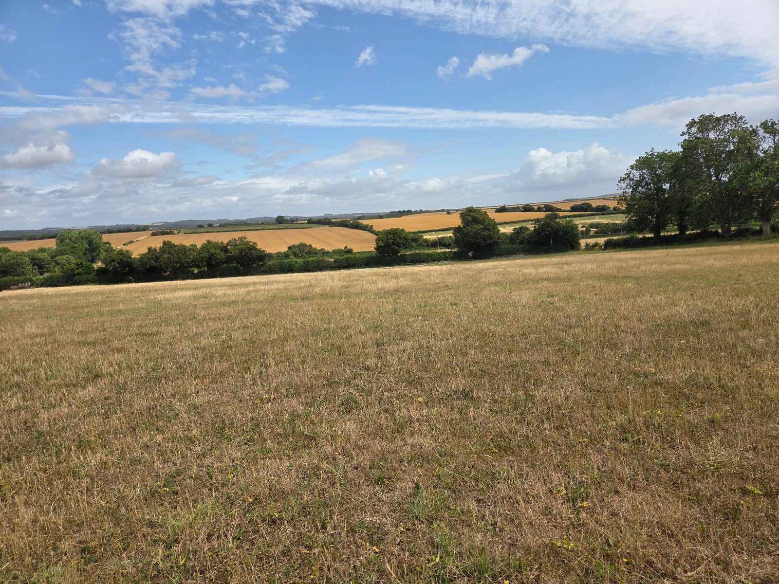 A wide, open field with dry grass in the foreground, green trees scattered along the edges, and golden farmland stretching towards the horizon under a partly cloudy blue sky.