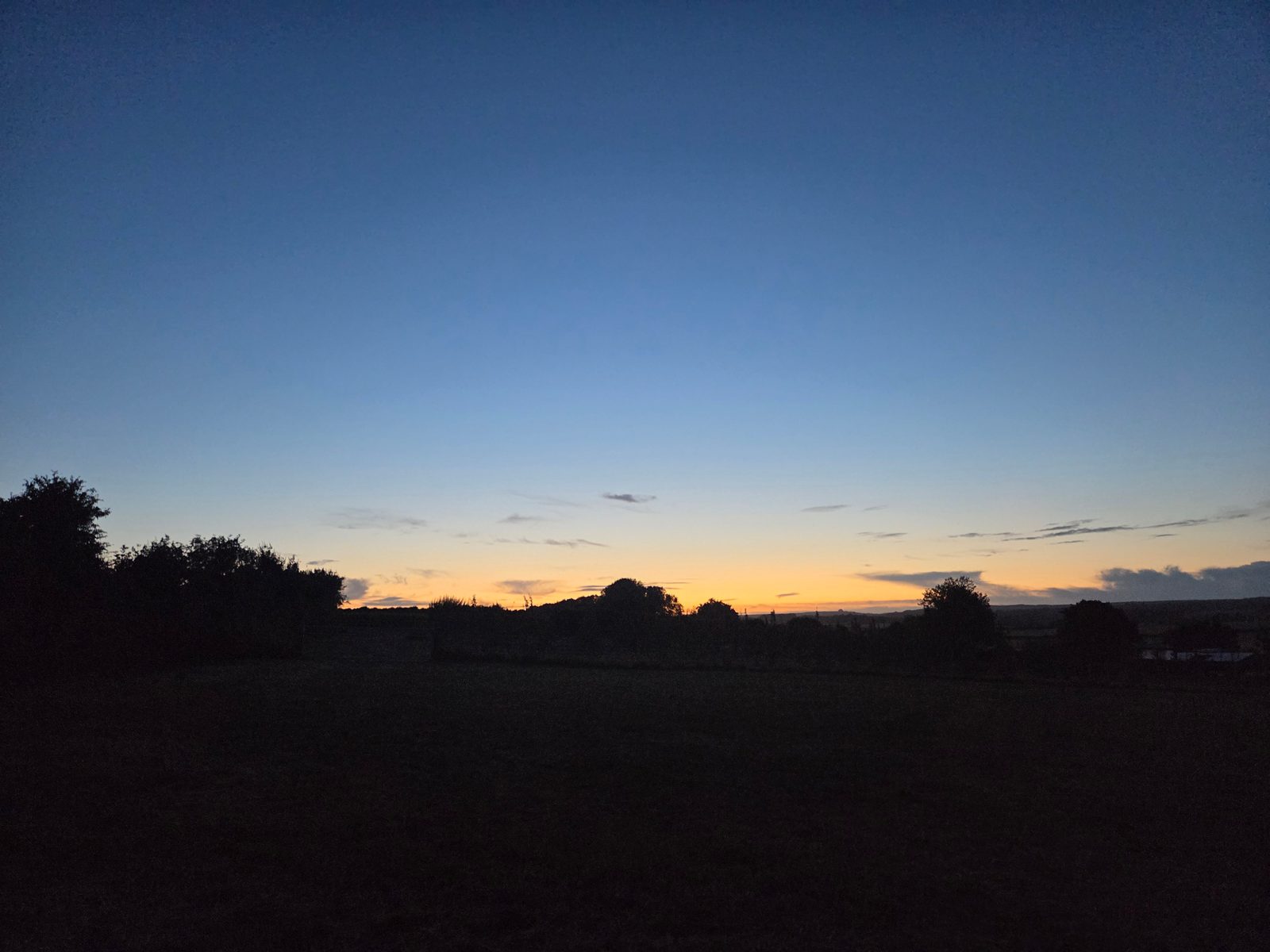 A dark landscape at dusk with silhouetted trees and bushes, and a clear sky fading from deep blue at the top to warm orange near the horizon.