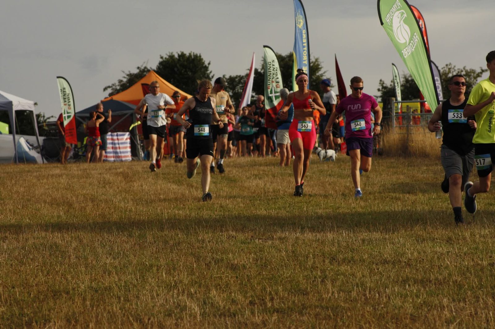A group of runners with race bibs are running on a grassy field during an outdoor race. Colorful flags, tents, and trees are visible in the background under a partly cloudy sky.