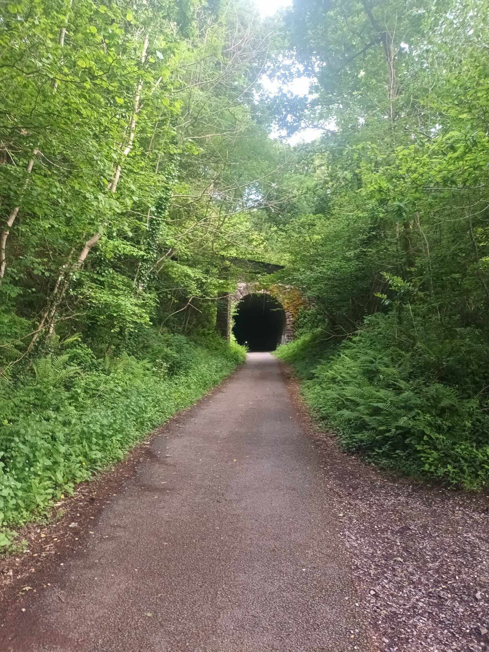 A shaded, tree-lined path leads to a dark tunnel entrance surrounded by dense foliage. The path is slightly curved and bordered by verdant greenery on both sides under a partially clouded sky.