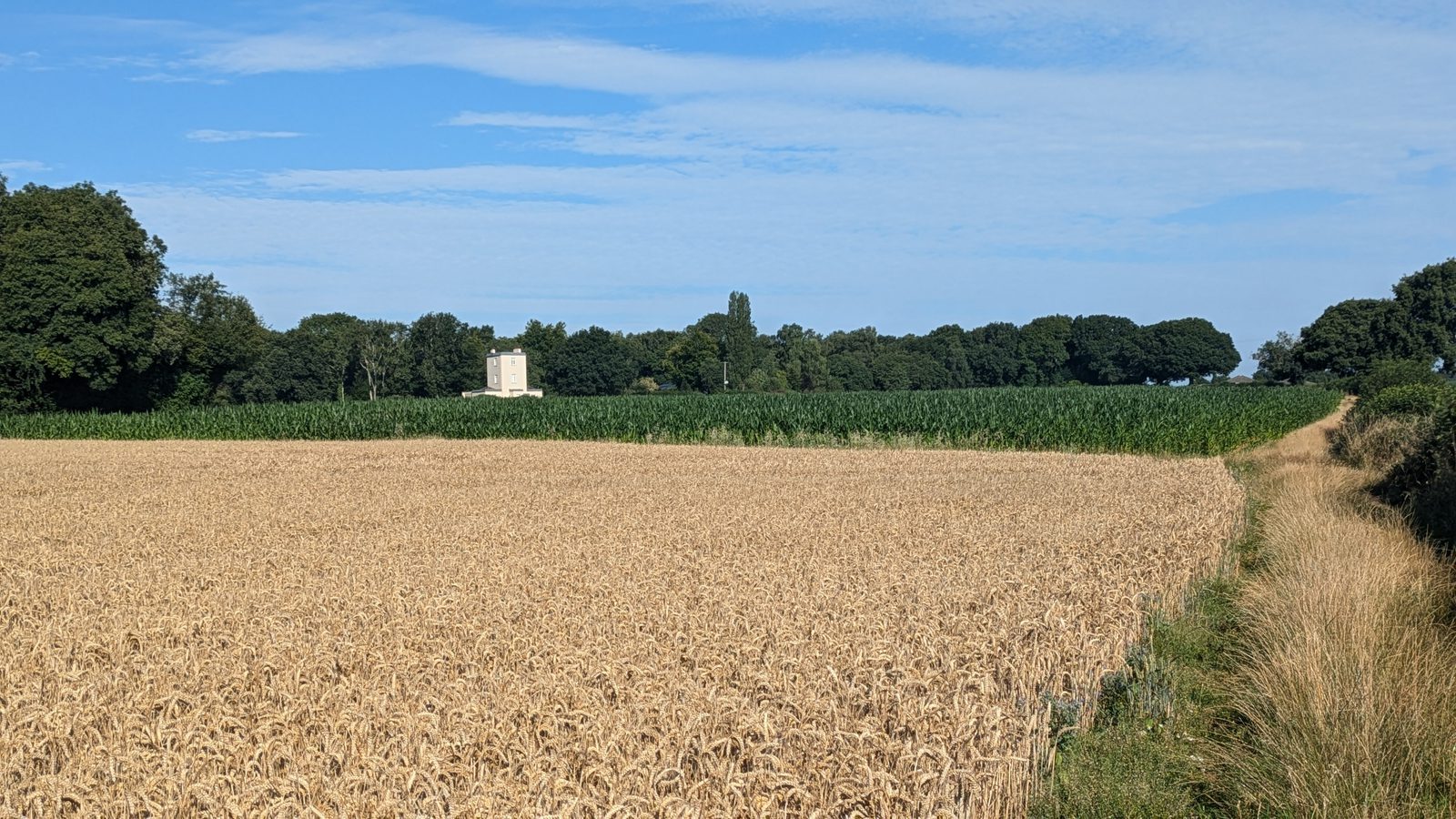A vast wheat field is in the foreground, bordered by a path on the right. Green trees line the edge of the field with a building visible in the distance. The sky is partly cloudy with blue expanses.