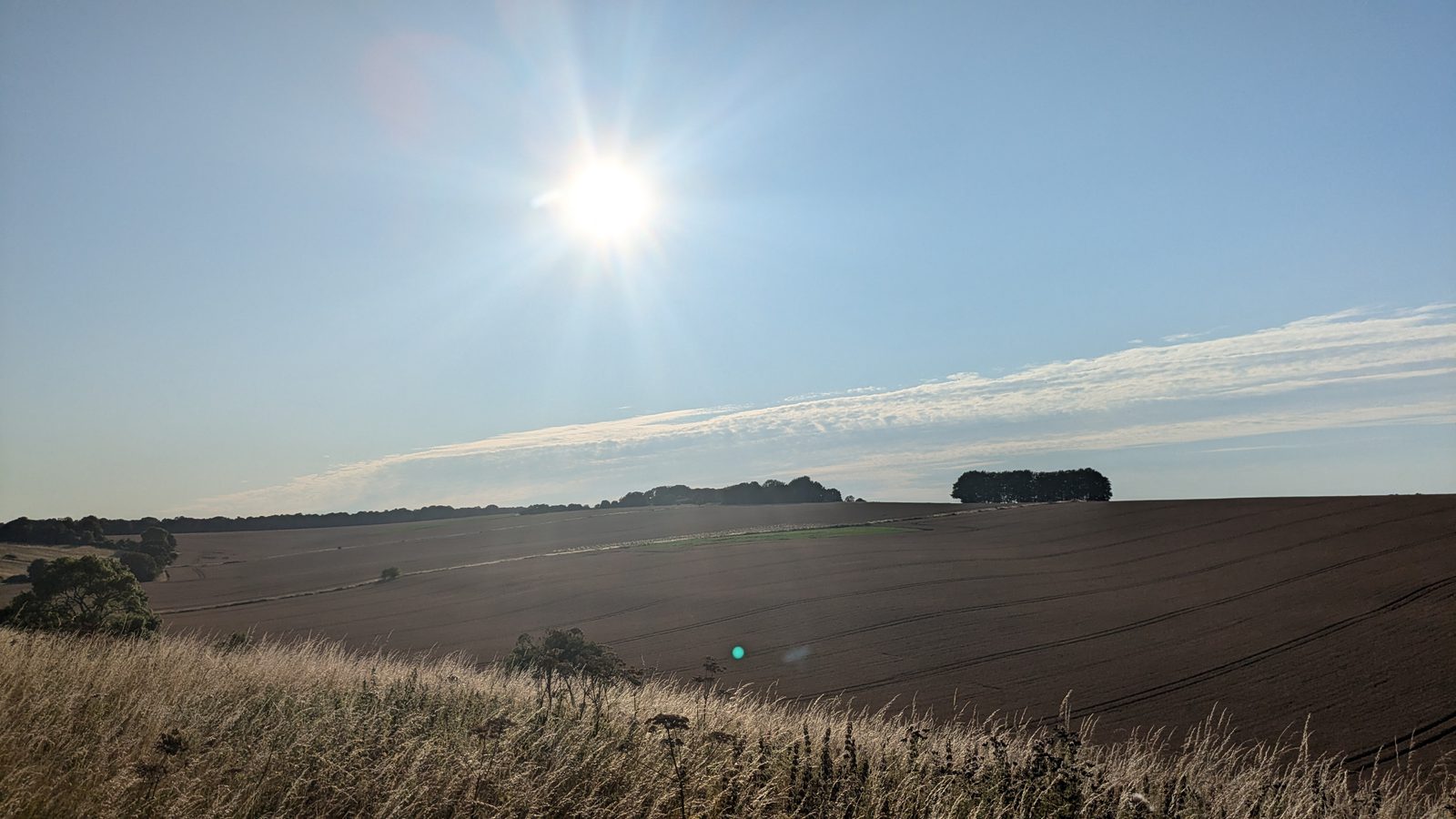 A bright sun shines over a vast, open field with patches of green and brown. The sky is mostly clear with a few wispy clouds stretching horizontally. Tall grasses in the foreground gently sway in what appears to be a breezy scene.