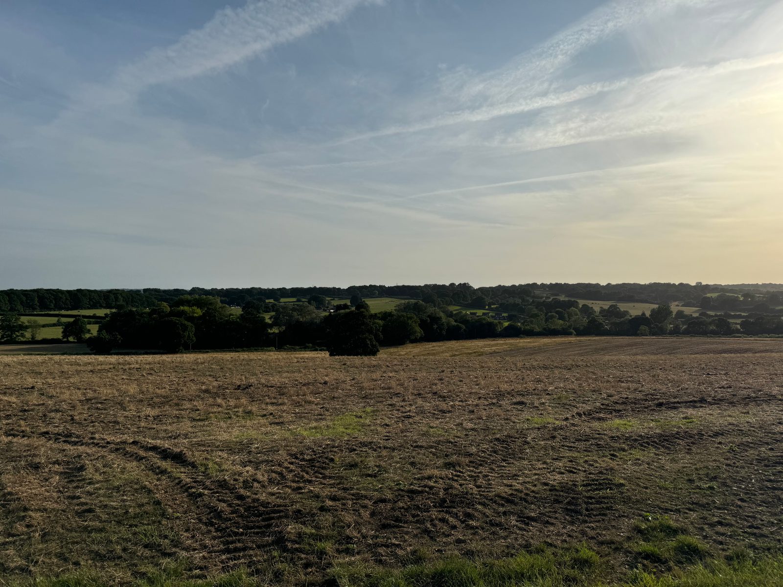 A serene landscape featuring a vast open field with slightly browned grass under a partly cloudy sky. The horizon is lined with dense tree cover, and the soft sunlight casts long shadows, suggesting late afternoon or early evening.