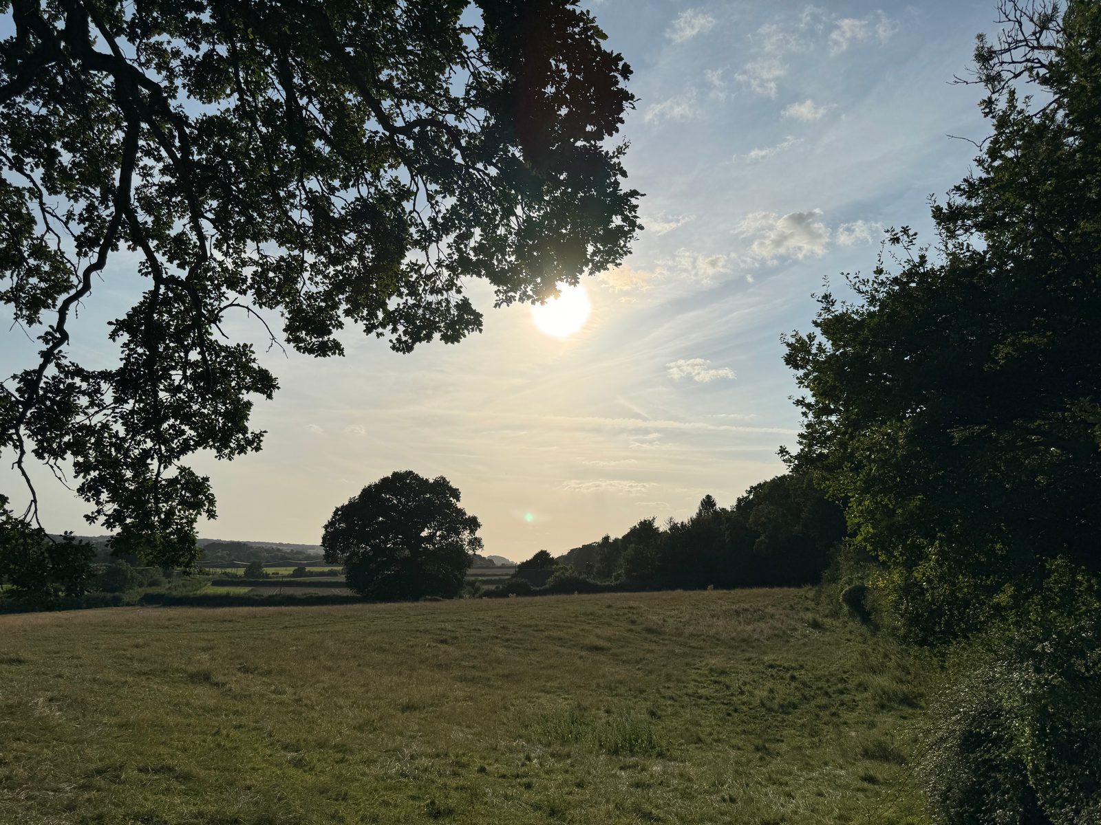 A serene landscape featuring a sunlit open field surrounded by trees, with the sun low in the sky casting long shadows. The sky is partly cloudy, and the distant horizon shows more greenery and partially obscured buildings.