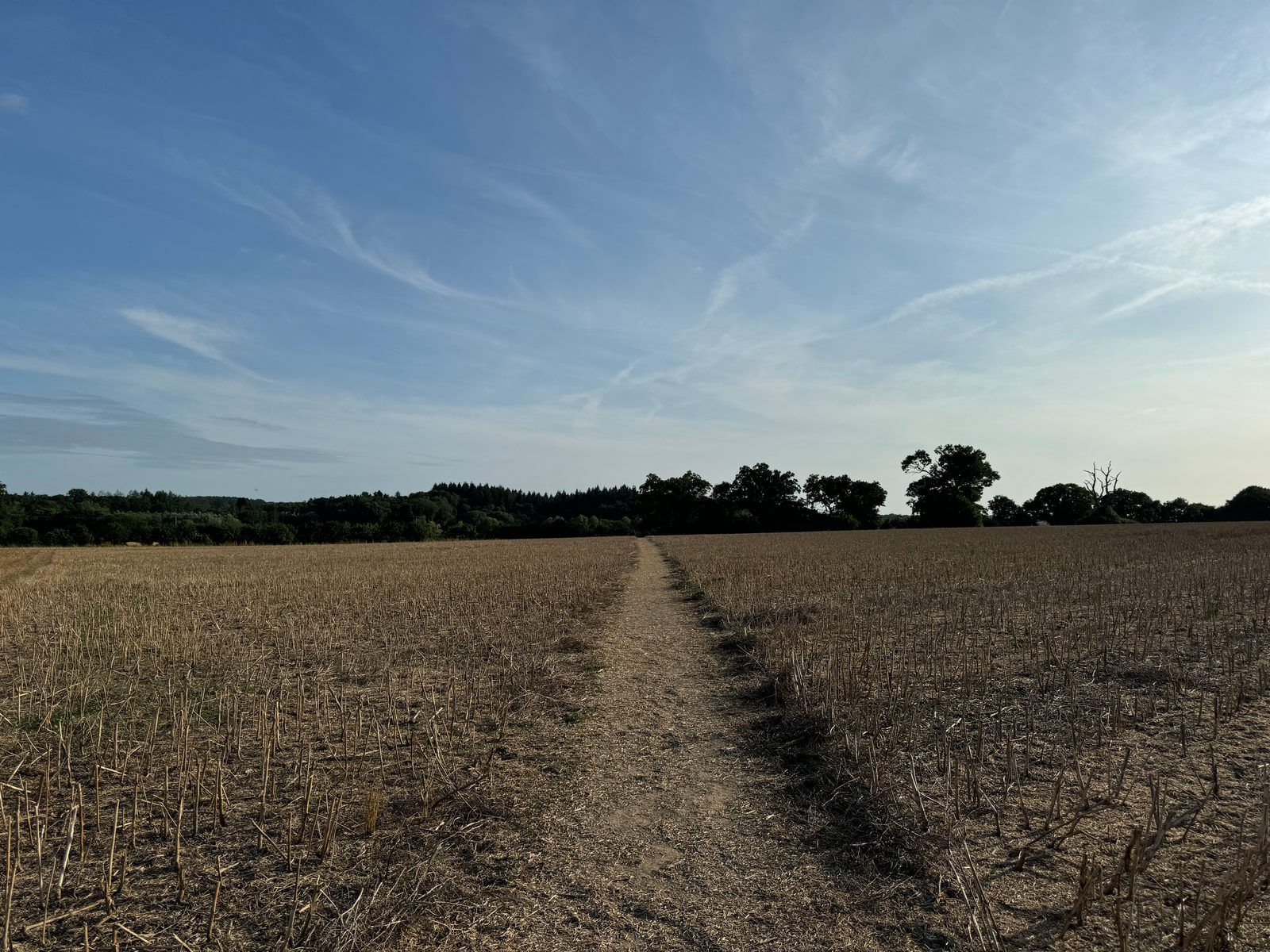 A narrow dirt path stretches through a dry, harvested field under a mostly clear sky. The path leads towards a distant tree line, with a few scattered trees visible along the horizon. The surrounding landscape appears slightly brown from the dry grasses.