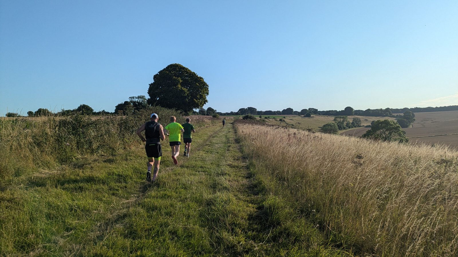 Three people run along a grassy trail through a sunlit field with tall grasses and green trees under a clear blue sky. The trail extends into the distance, flanked by lush vegetation on both sides.
