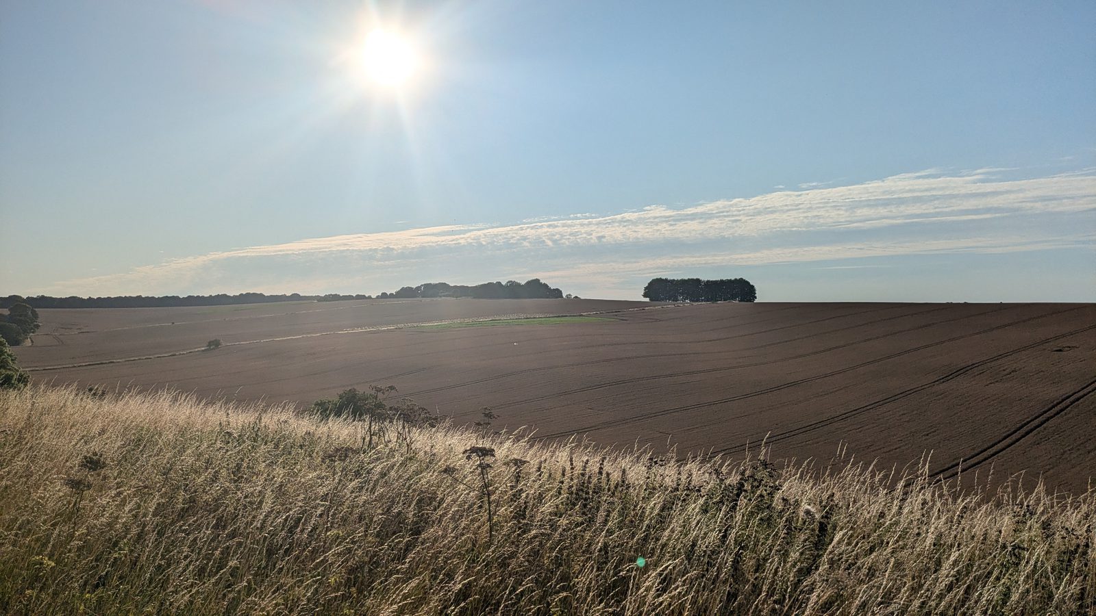Landscape with a bright sun in a clear blue sky. The scene features expansive, plowed fields interspersed with green patches and a few clusters of trees on the horizon. Tall grasses and wildflowers occupy the foreground.