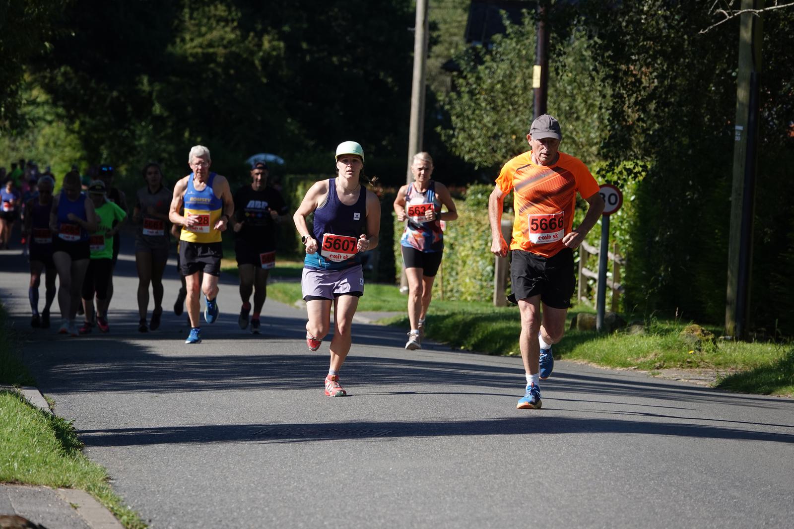 A group of runners competing in a road race on a sunny day. Two runners in the foreground wear bright athletic gear with visible race numbers. Trees and a clear sky are in the background.