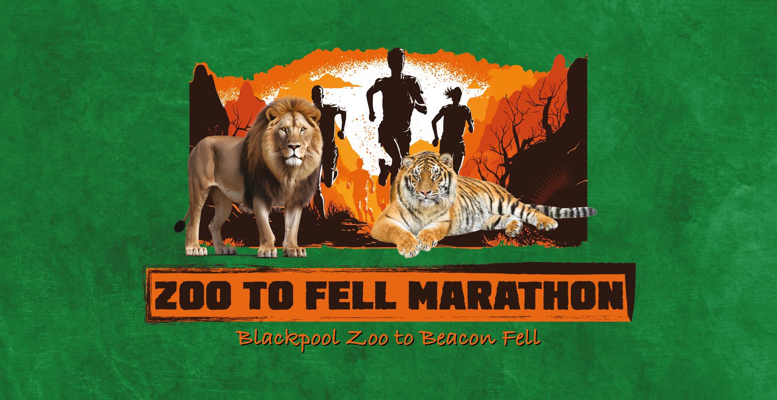 Illustrated graphic for the Zoo to Fell Marathon, featuring a lion and tiger in the foreground with silhouettes of runners and trees against a sunset background. Text reads, "Zoo to Fell Marathon, Blackpool Zoo to Beacon Fell." The background is a textured green.