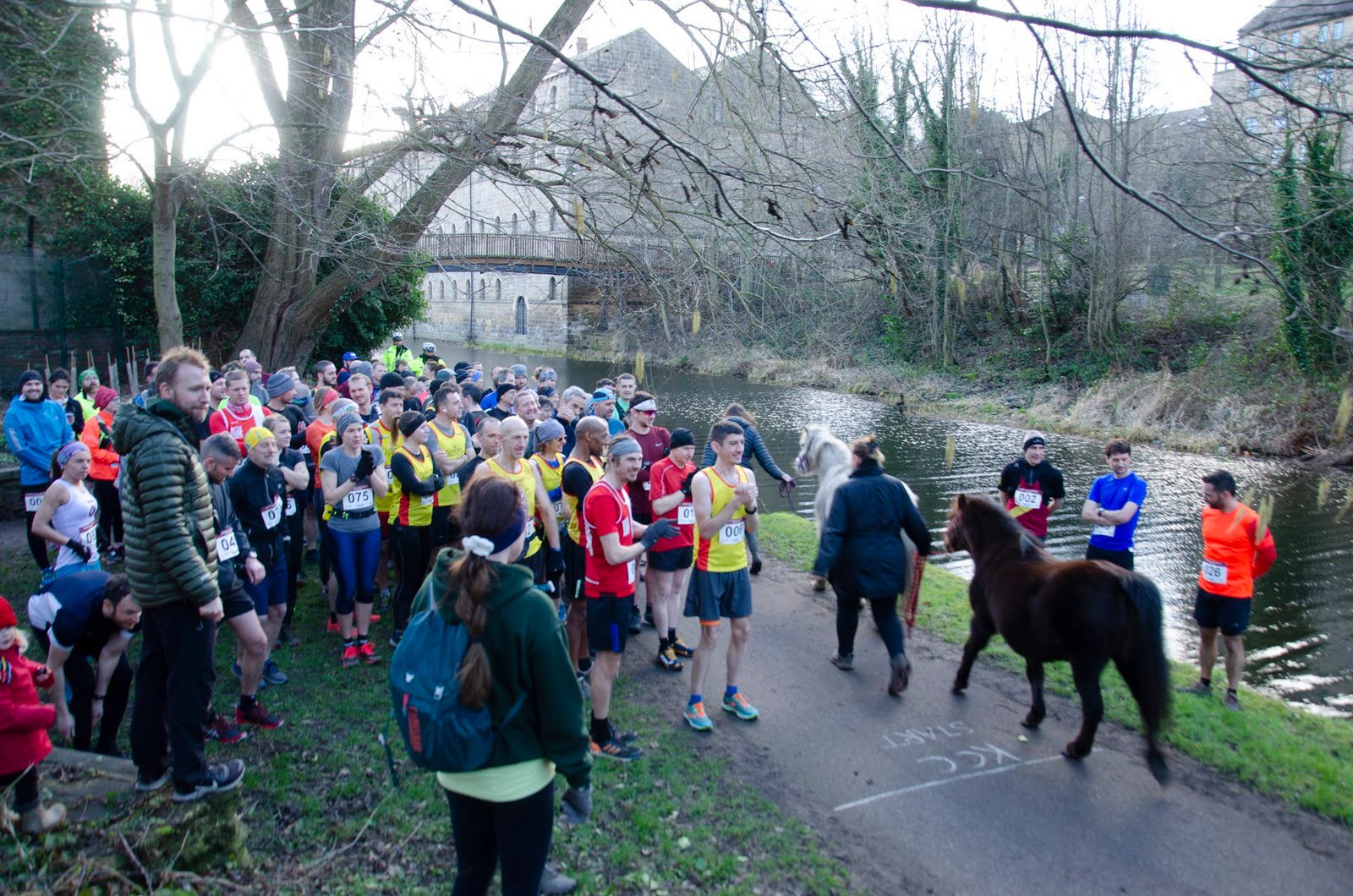 A group of runners gathered near a riverside path, preparing for a race. A horse walks into the scene, gathering the attention of participants. Trees and a small bridge are visible in the background.