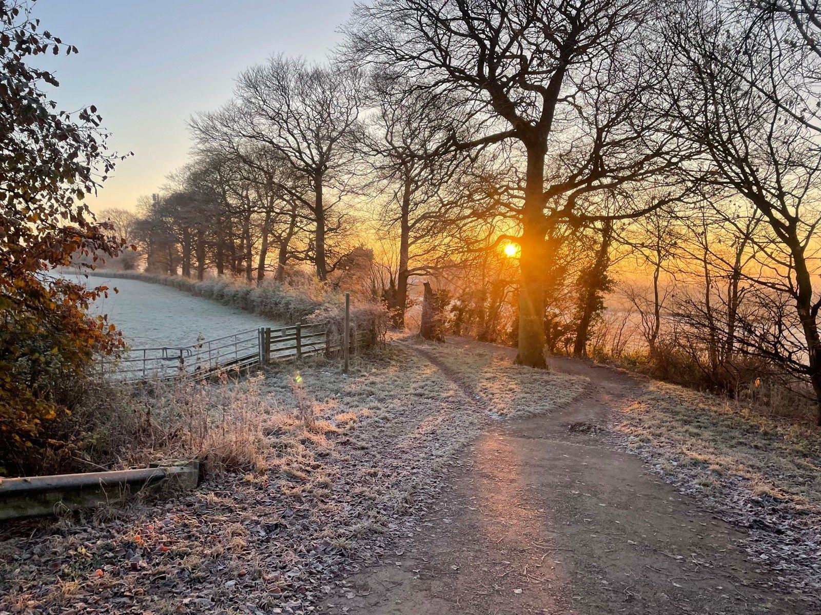 A picturesque sunrise illuminates a frosty rural path flanked by leafless trees. The sun peeks through branches, casting long shadows on the ground. A wooden fence borders the frosty grass on one side, with a tranquil countryside atmosphere.