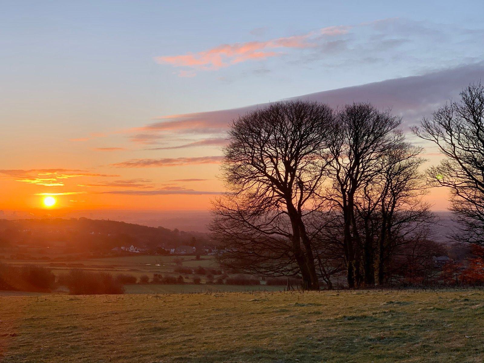 A scenic view of a sunset over a countryside landscape, with silhouettes of leafless trees in the foreground and soft orange and pink hues in the sky. The sun is partially visible above the horizon, casting a warm glow.