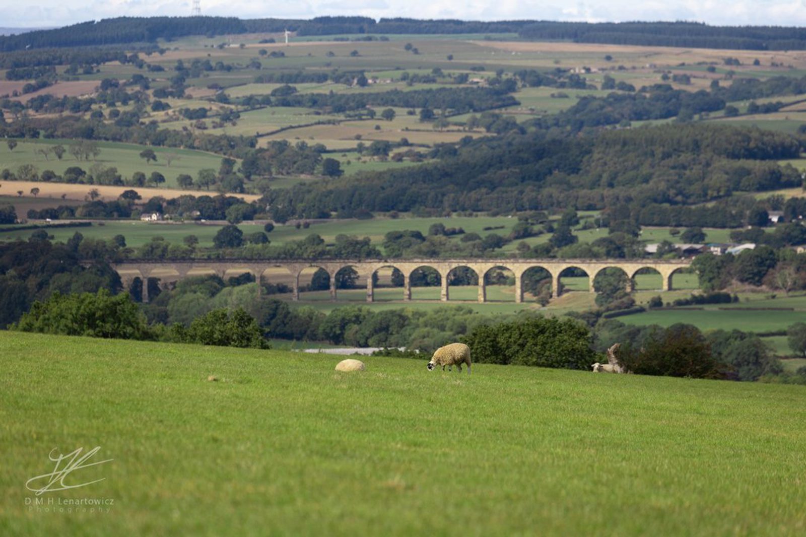 A scenic countryside view with a green field in the foreground where sheep are grazing. In the background, there is a long, stone railway viaduct with multiple arches. Rolling hills and a patchwork of fields and forests stretch out to the horizon under a partly cloudy sky.