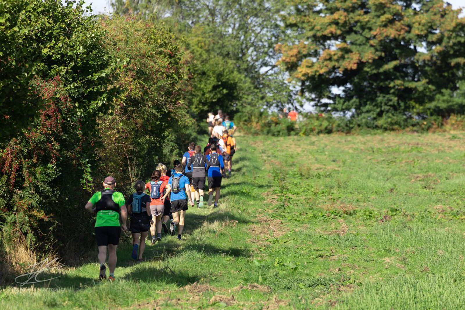 A group of runners in athletic gear follow a narrow trail through a grassy and scenic outdoor area, flanked by tall bushes and trees. The sun is shining, and the path winds gently through the lush greenery.