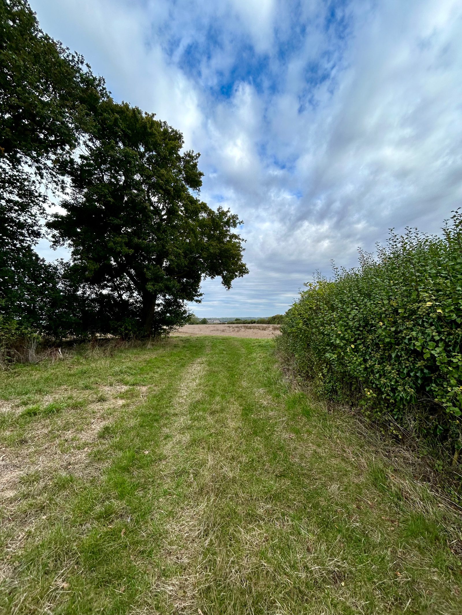 A grassy path extends through a rural landscape, flanked by dense green hedges and a large, leafy tree on the left. The sky above is filled with gray clouds, suggesting an overcast day. Fields and distant trees are visible in the background.