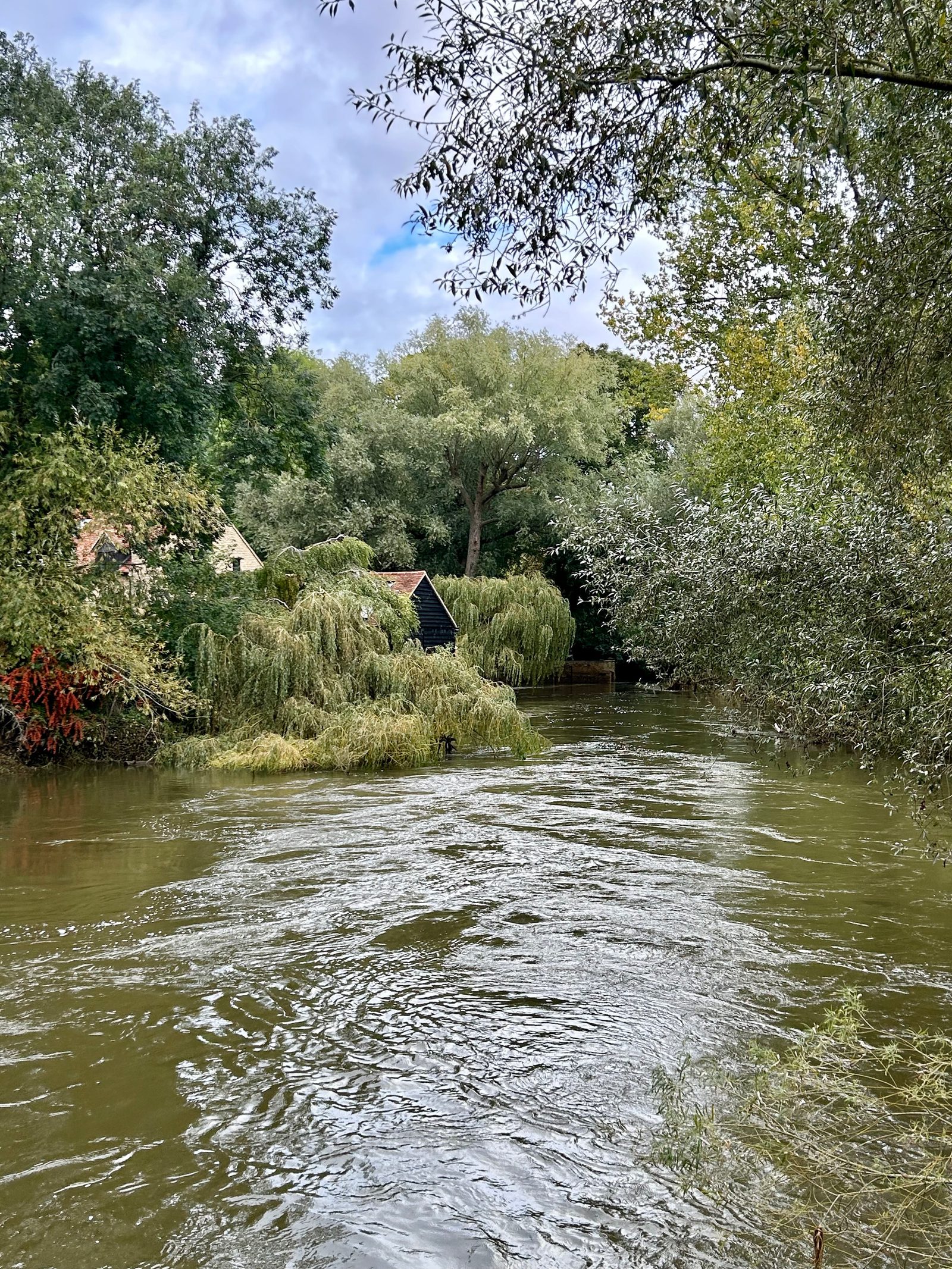 A tranquil river scene with a lush canopy of overhanging trees. A small building with a slanted roof is partially visible among the greenery. The water reflects the surrounding vegetation under a cloudy sky.