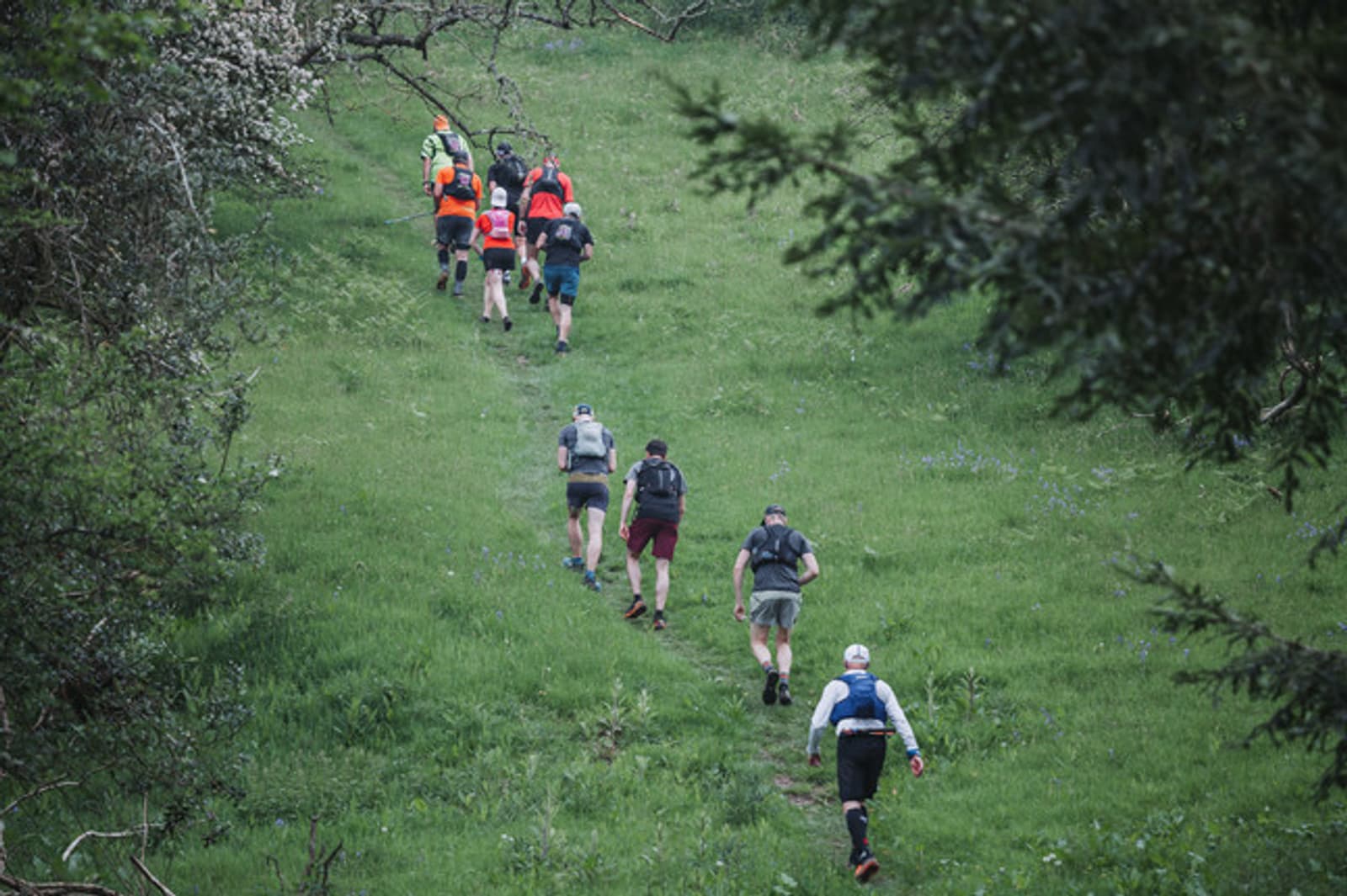 A group of runners in athletic gear is jogging uphill on a grassy trail surrounded by trees and greenery. Some wear orange or blue tops, and they have backpacks. It's a lush, outdoor setting indicating a trail run or hike.