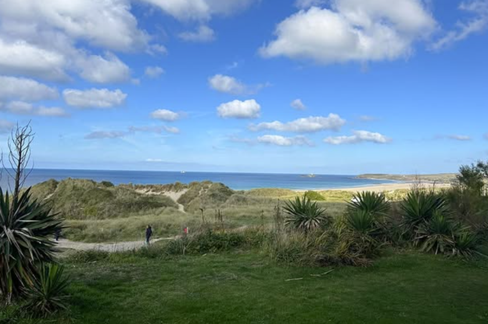 A scenic view of a coastal landscape under a blue sky with scattered clouds. The foreground features green grass and plants, while a path winds through the dunes towards the sea, where a single person walks.