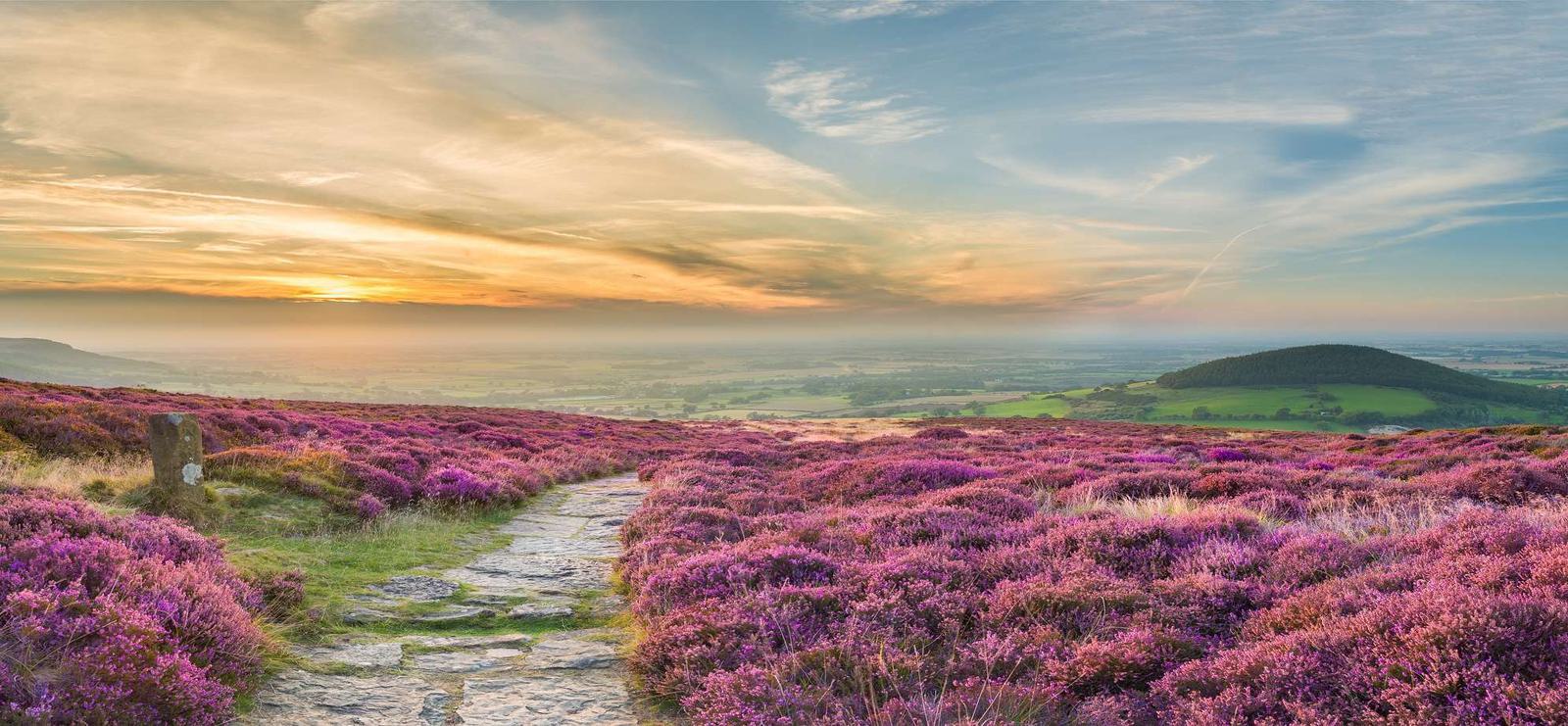 A scenic landscape featuring a path winding through vibrant purple heather fields. The sky is filled with a dramatic sunset, casting warm hues over the scene. A small hill and expansive countryside are visible in the distance.